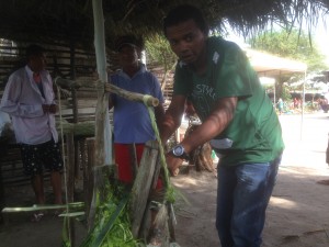 Produção manual de Sisal