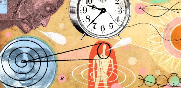 Relógio biológico é controlado pelo cérebro - À ciência avançou neste mistério - Veja o que se sabe sobre rotina cerebral