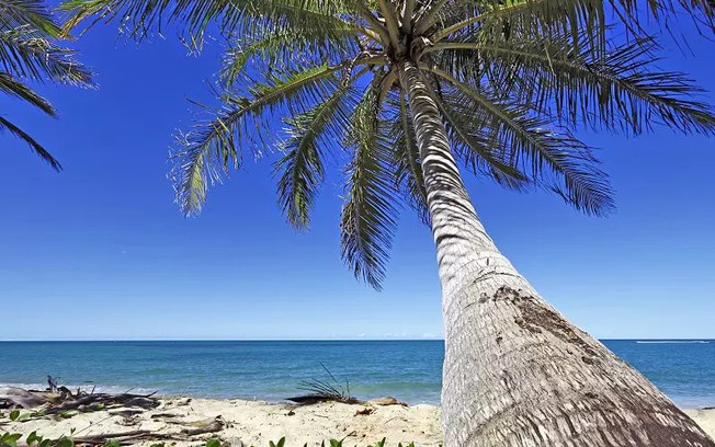 BA1 FÉRIAS - POR QUE VIAJAR PARA A BAHIA EM JANEIRO? Sol, praia e muitas atrações fazem da Bahia um ótimo destino para as férias de janeiro