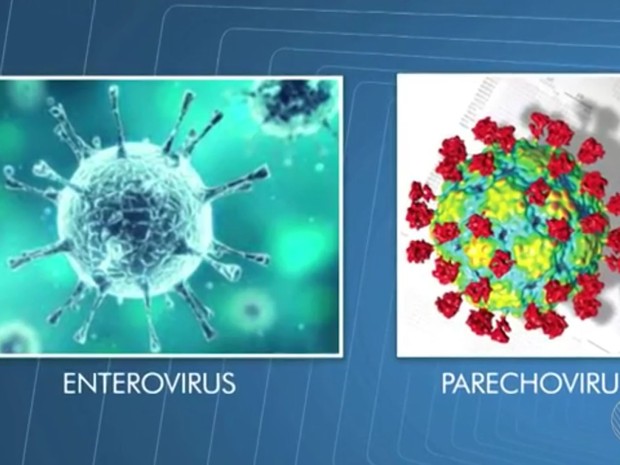 virus DOENÇA MISTERIOSA - SALVADOR/BA REGISTRA 22 CASOS QUE CAUSA DOR MUSCULAR E URINA PRETA virus