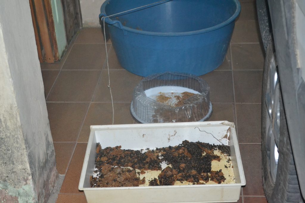 Abelhas 2 MONTE SANTO/BA - CRIME ECOLÓGICO CAUSA GRANDE MISTÉRIO AOS MORADORES Abelhas 2