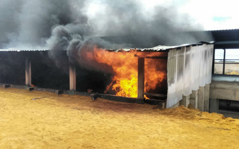 mst Galpão DESTRUIÇÃO EM CORRENTINA/BA - MANIFESTANTES INVADE FAZENDA E PROVOCAM CENAS DE TERRORISMO NO OESTE DA BAHIA mst Galpão