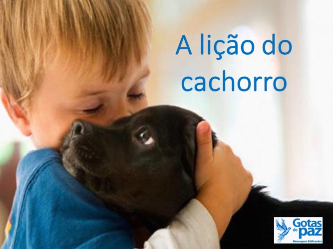 Alicaodocachorro