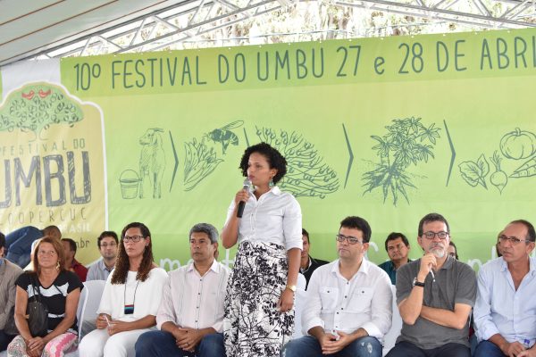Festival DÉCIMO FESTIVAL DO UMBU - UAUÁ/BA Festival