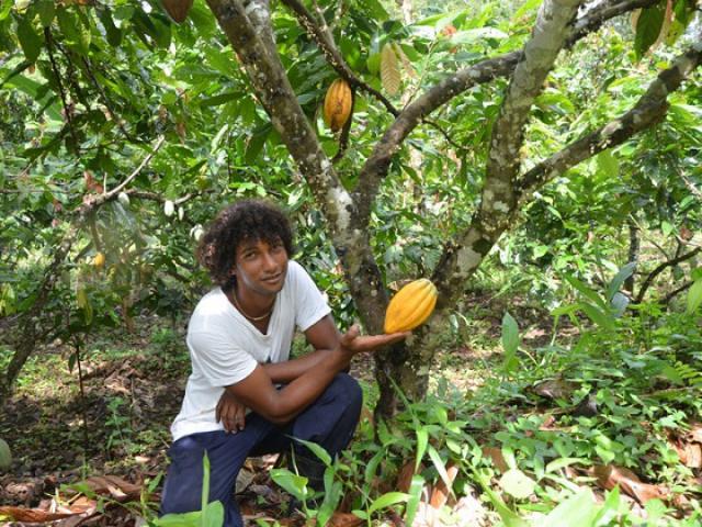 Incra II INCRA BAHIA INVESTE 2,2 MILHÕES EM CRÉDITOS E FAZ BALANÇO DAS AÇÕES EM 2018 Incra II