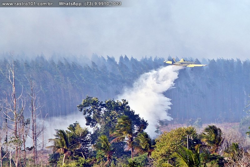 101 2 ITAGIMIRIM BAHIA - INCÊNDIO ATINGE ÁREA RURAL - AVIÃO TENTA COMBATER AS CHAMAS 101 2