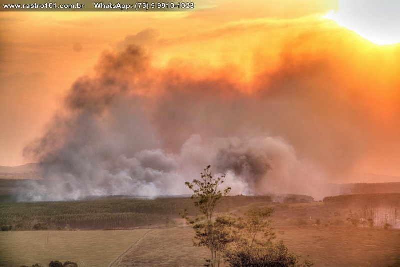 101 3 ITAGIMIRIM BAHIA - INCÊNDIO ATINGE ÁREA RURAL - AVIÃO TENTA COMBATER AS CHAMAS 101 3