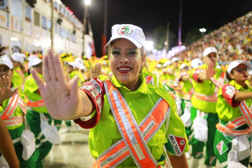 6 grande rio CARNAVAL 2019 DO RIO DE JANEIRO - DESFILES DA PRIMEIRA NOITE 6 grande rio
