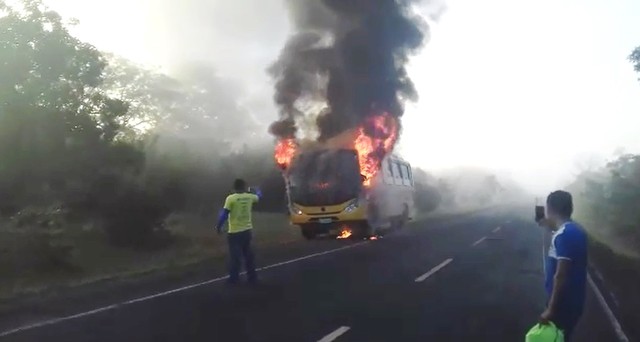 onibus ÔNIBUS ESCOLAR PEGA FOGO EM RODOVIA DO PIAUÍ/PI onibus
