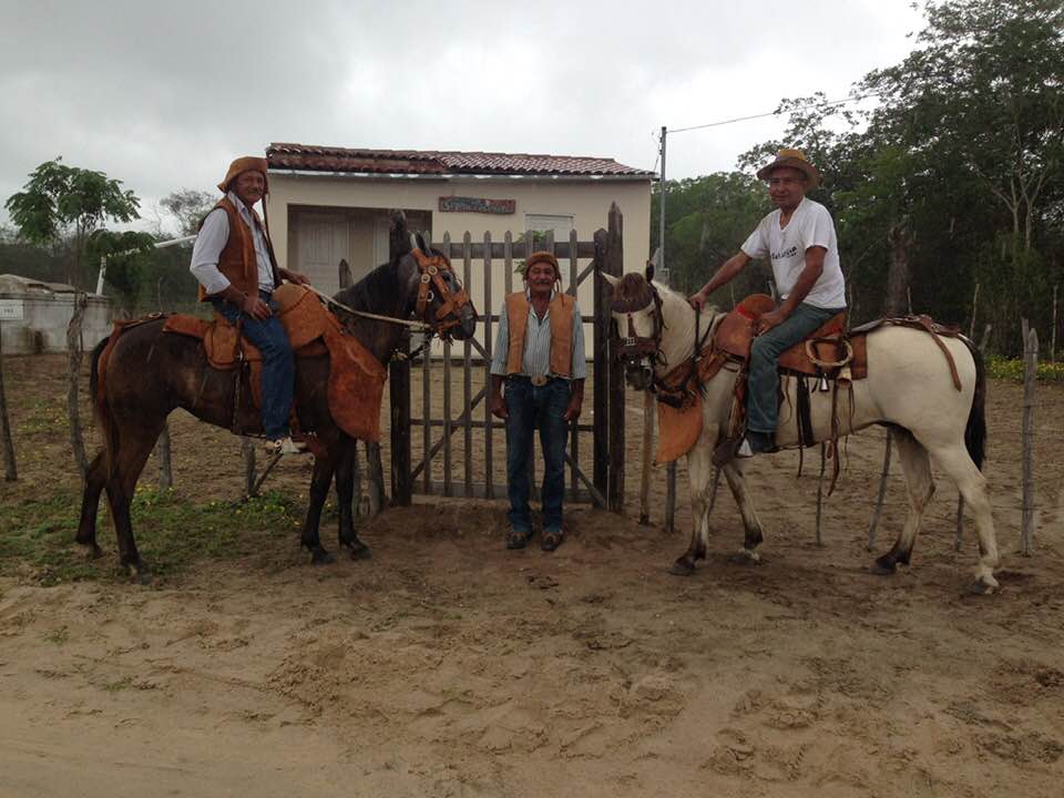 Pega 3 PEGA DE BOI NO MATO - FAZENDA MARRUÁS e FAZENDA VENCEDORA - CANSANÇÃO BAHIA Pega 3