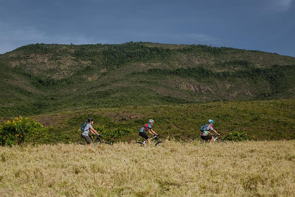 Pedal 1 capa