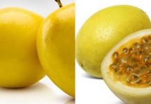 Maracuja