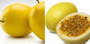 Maracuja