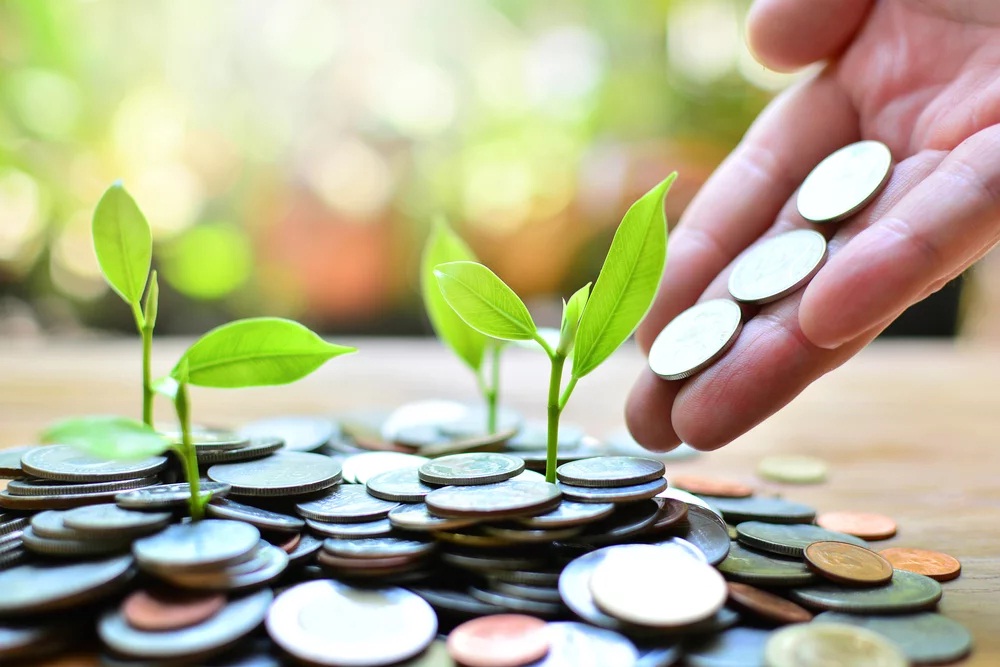dinheiro Como Ganhar Dinheiro Investindo Pouco Ganhar Dinheiro Investindo