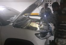 Guardas retirando cobra de motor de carro em Salvador — Foto: Divulgação/GCM