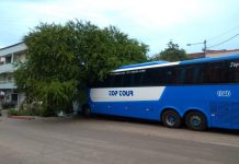 Ônibus atingiu motorista e só parou depois de bater em uma árvore, em Vila Velha — Foto: Reprodução