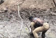 O soldado Giéliton Carlos, do 5º BPM (Euclides da Cunha) usou a força dos braços para retirar o animal.