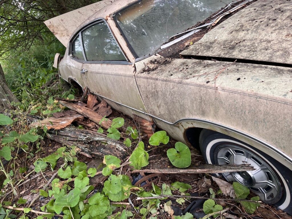 this 1973 ford was forgotten in a barn that fell apart now abandoned in the woods 2 1024x768 1