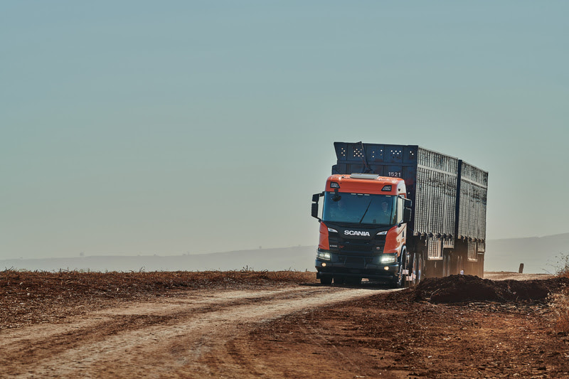Scania G 500 XT 6x4 sugar cane transport