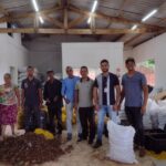 Exportação de coco de piaçava pela agricultura familiar reforça relações comerciais entre Bahia e Egito