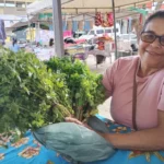 Fotos: Gabriella Navarro e Arquivo pessoal de Ednalva Lima